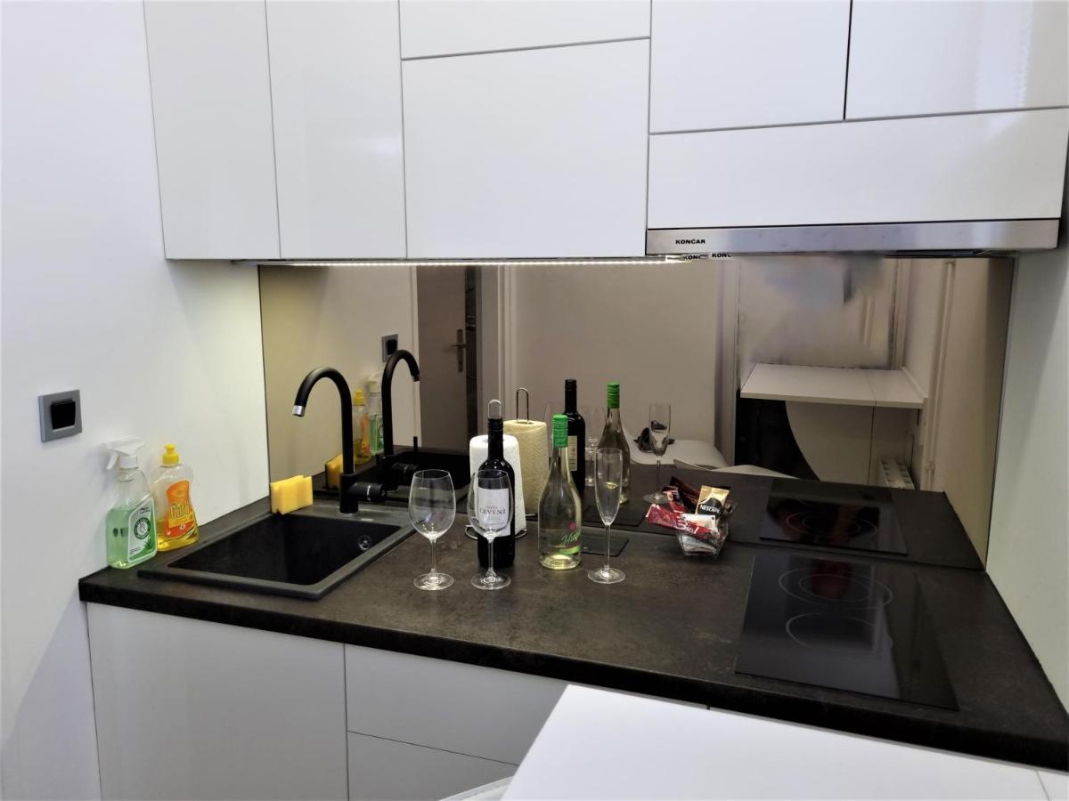 Apartment Apex Penthouse Self Check-In Karlovac Extérieur photo
