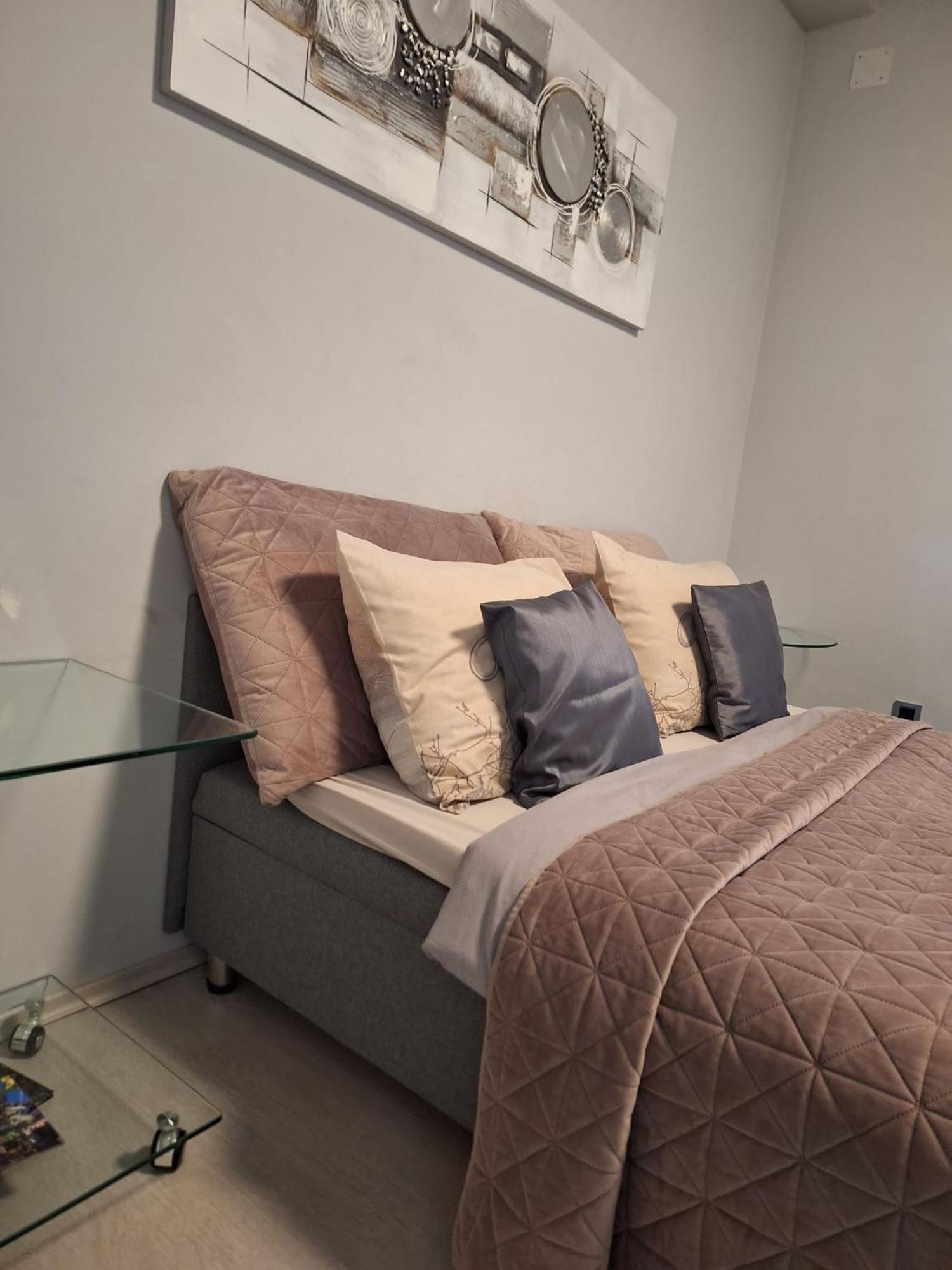 Apartment Apex Penthouse Self Check-In Karlovac Extérieur photo