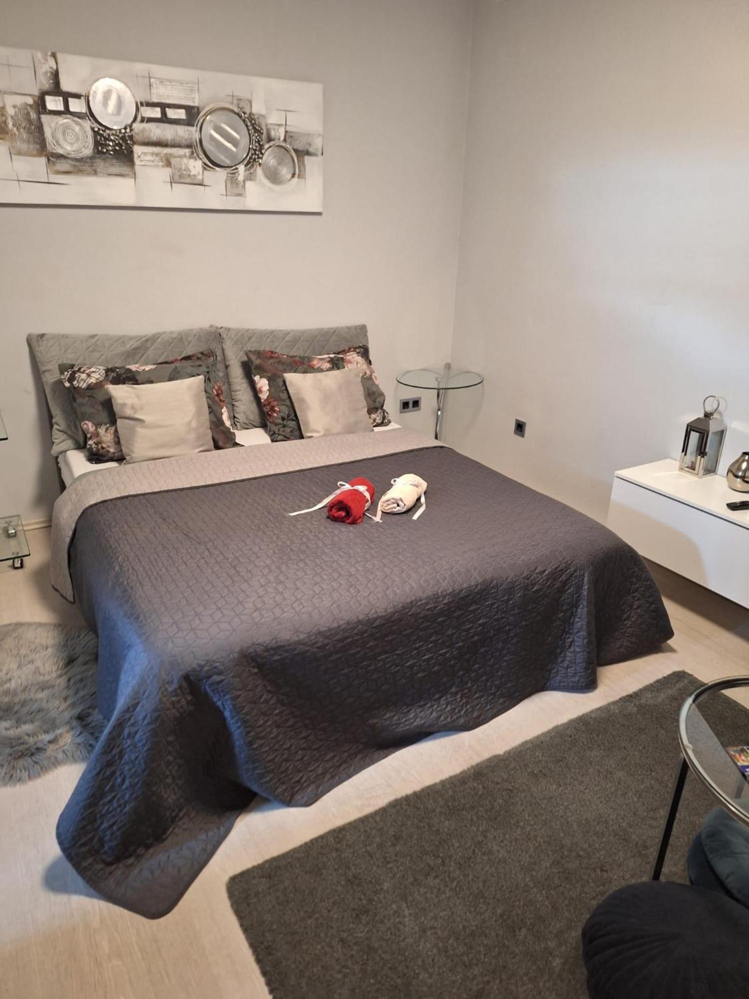 Apartment Apex Penthouse Self Check-In Karlovac Extérieur photo